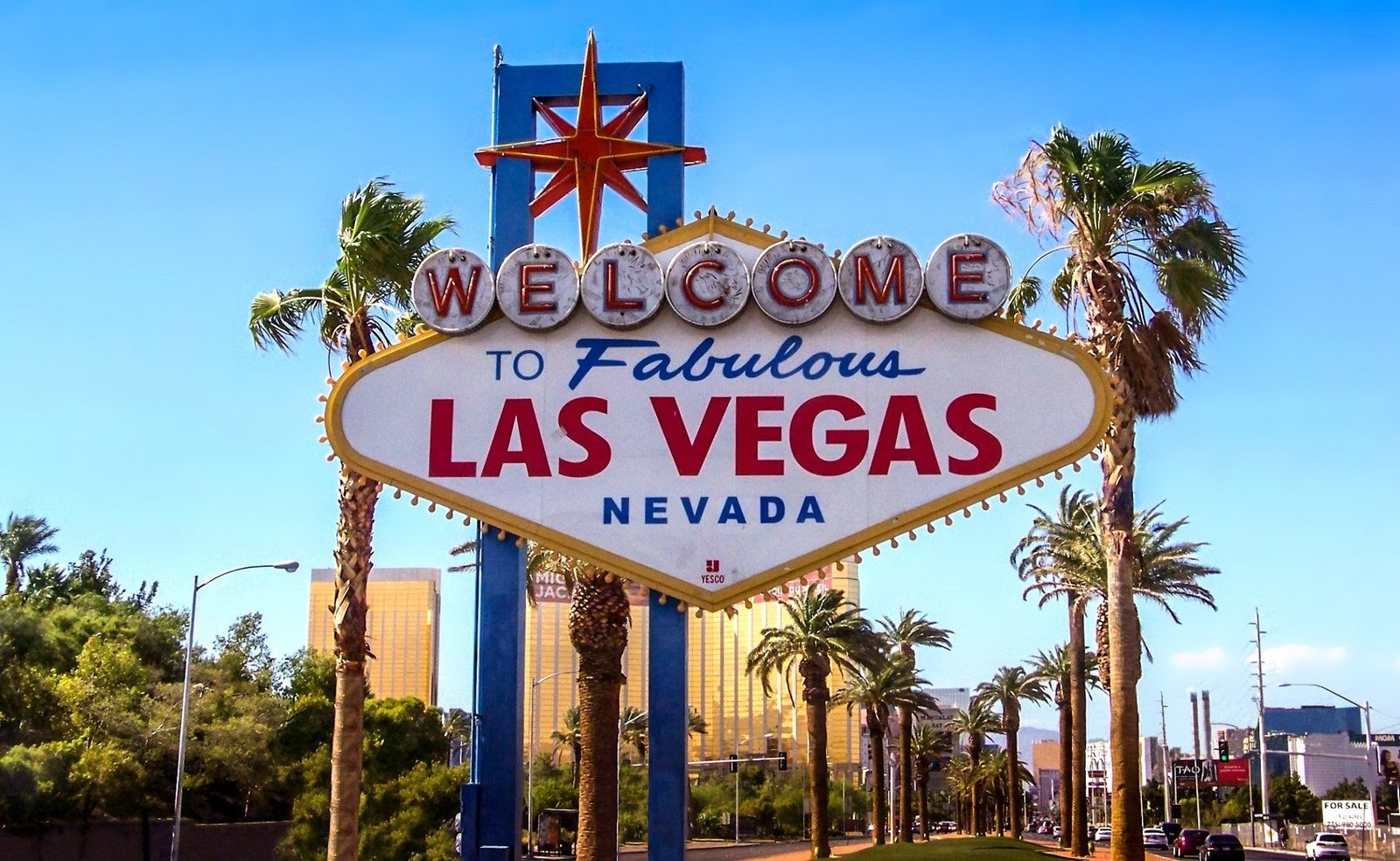 Ensuring the Health of Your Furry Friends: Core Vaccines for Pets in Las Vegas